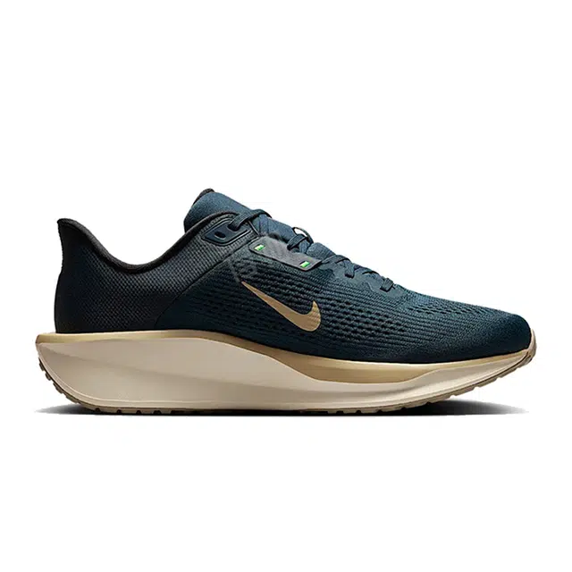 Nike Quest 6