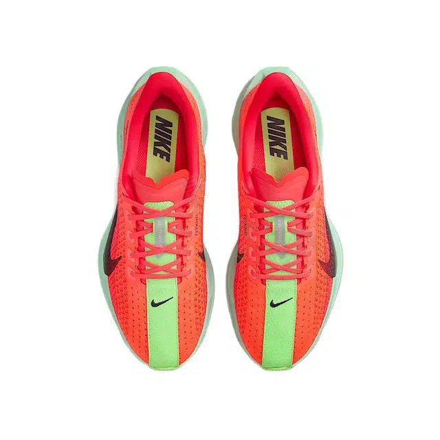 Nike Pegasus Plus