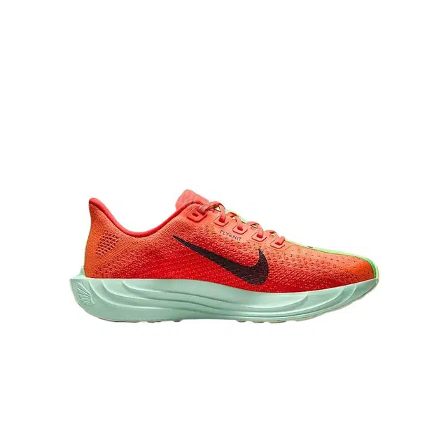 Nike Pegasus Plus