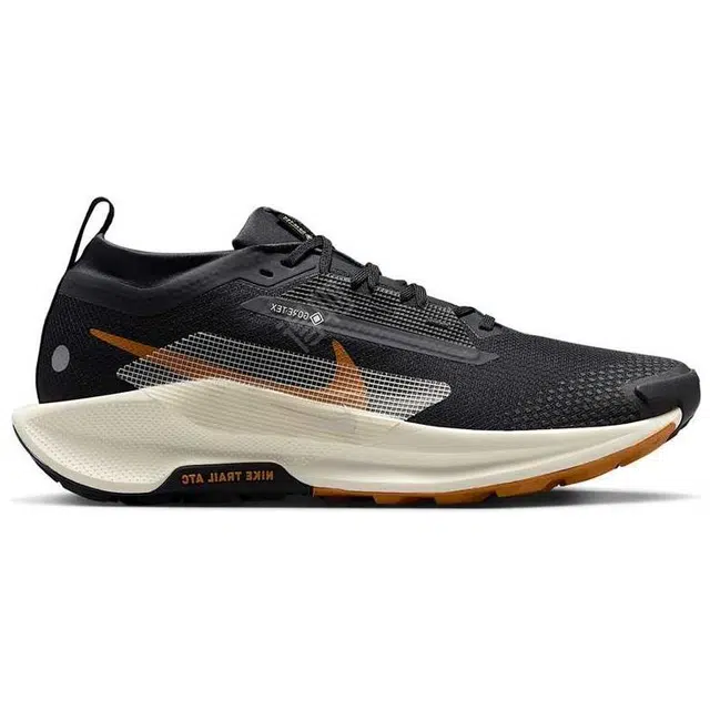 Nike Pegasus Trail 5 GORE-TEX