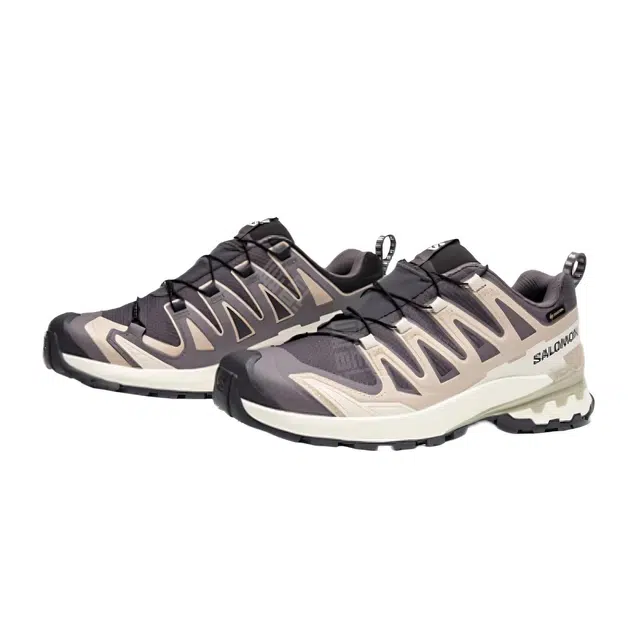SALOMON XA Pro 3D V9 GTX
