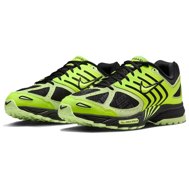 Nike Air Pegasus 2005