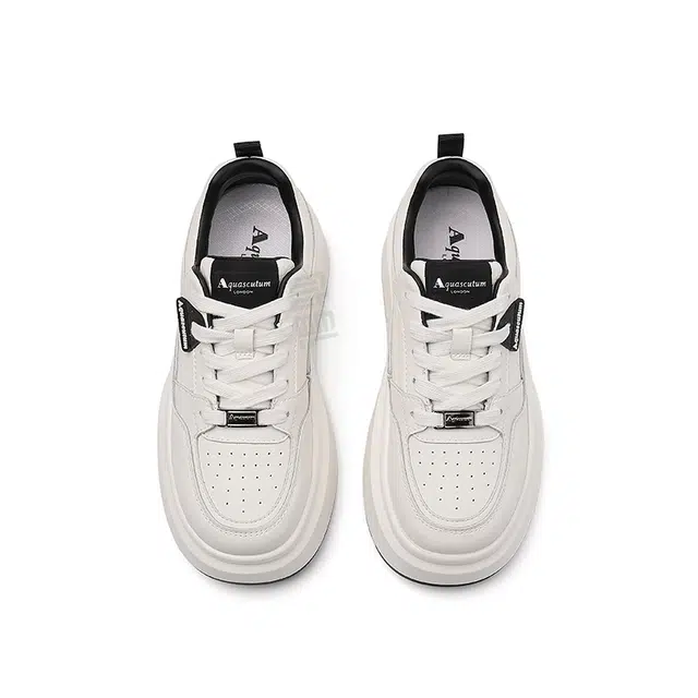 AQUASCUTUM