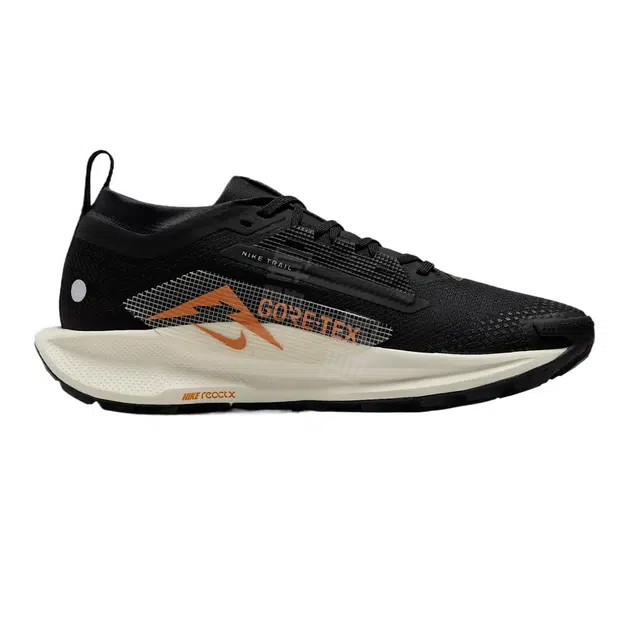 Nike Pegasus Trail 5 GORE-TEX