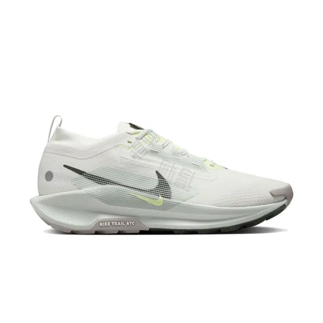Nike Pegasus Trail 5