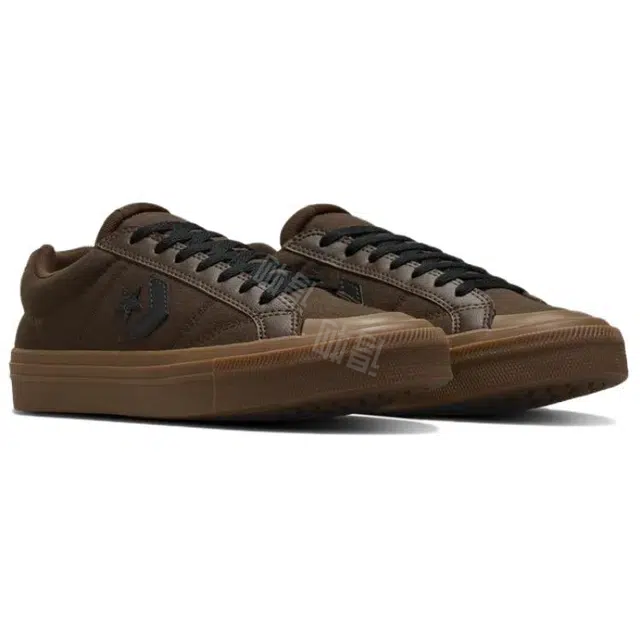 Converse Sport Casual