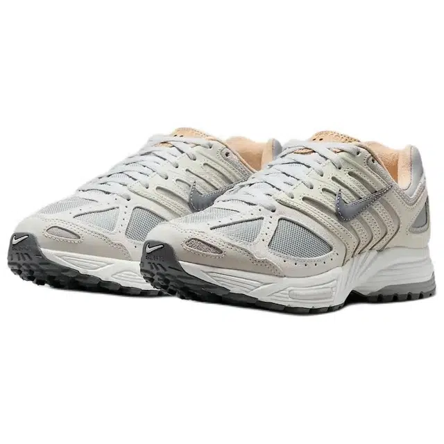 Nike Air Pegasus 2005
