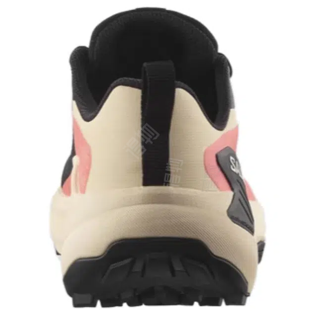 SALOMON GENESIS GTX