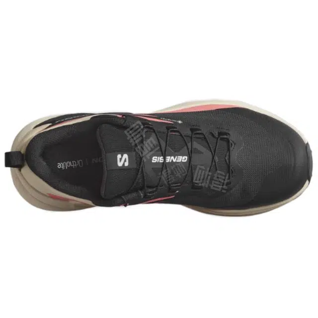 SALOMON GENESIS GTX
