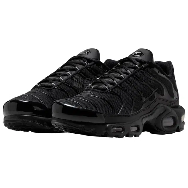 Nike Air Max Plus WMNS