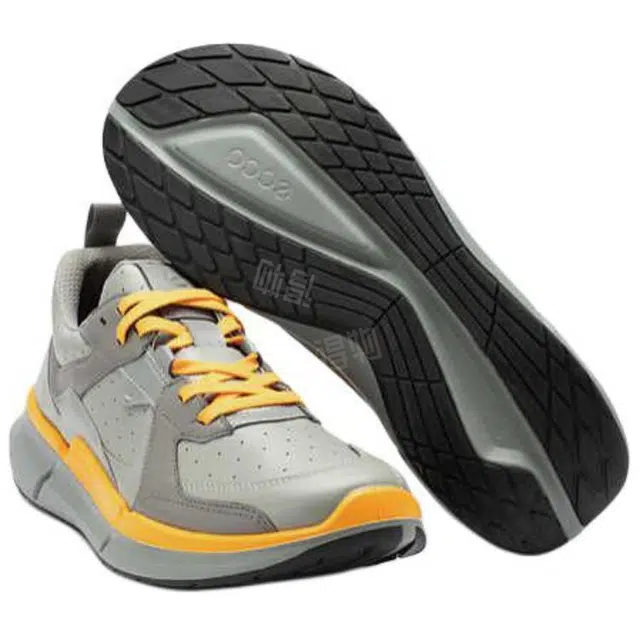 ecco Biom 2.2