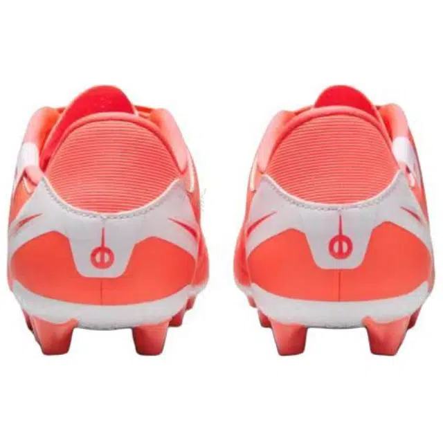 Nike Tiempo Legend 10 AG