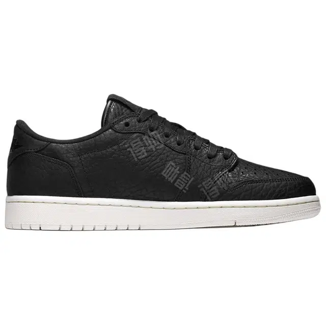 Jordan Air Jordan 1 Retro Low NS Black 2025