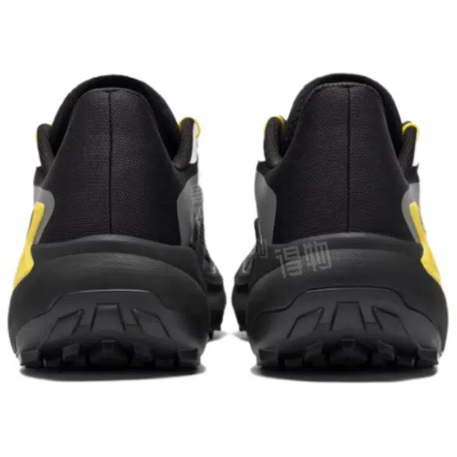 SALOMON GENESIS