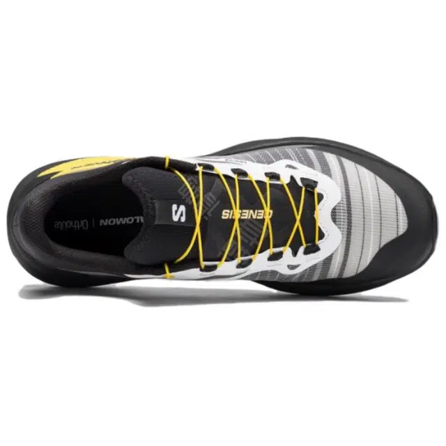 SALOMON GENESIS