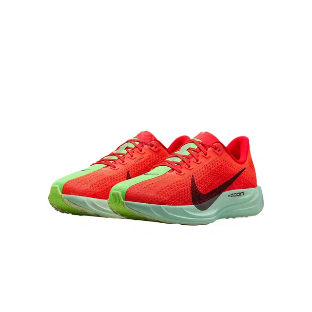 Nike Pegasus Plus