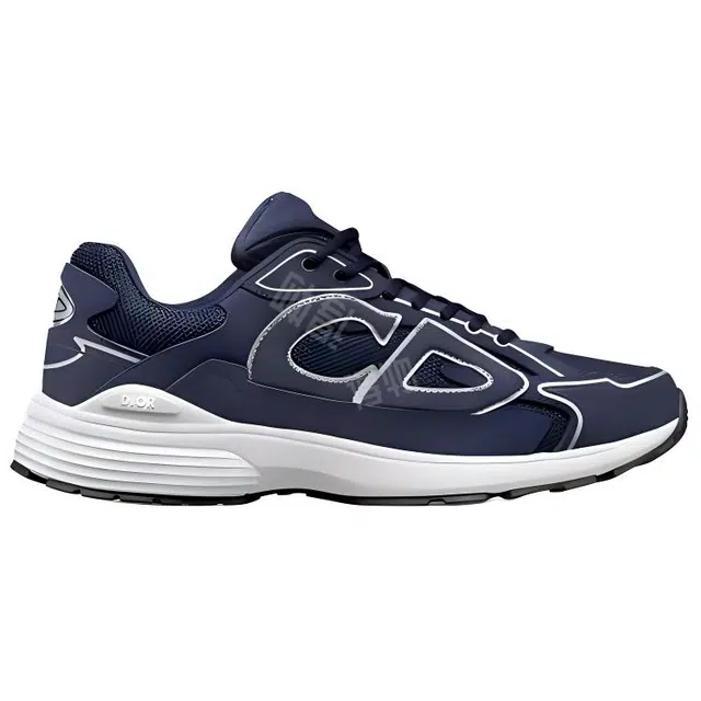DIOR B30