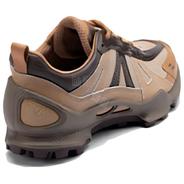 Natacha ecco Biom C Trail