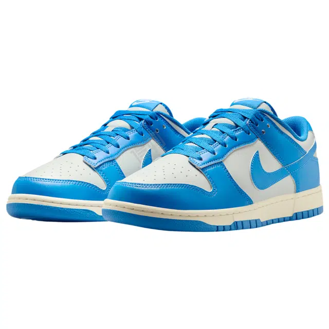 Nike Dunk Low Blue Silver
