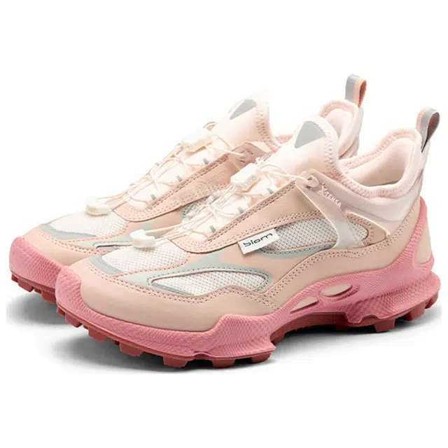 ecco C