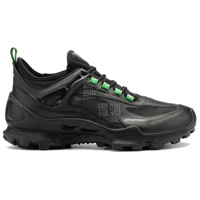 ecco Biom C Trail