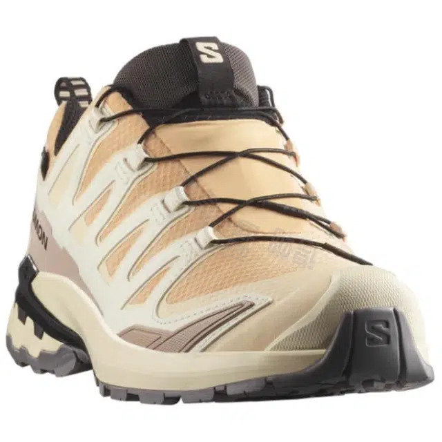 Salomon XA Pro 3D V9 GTX