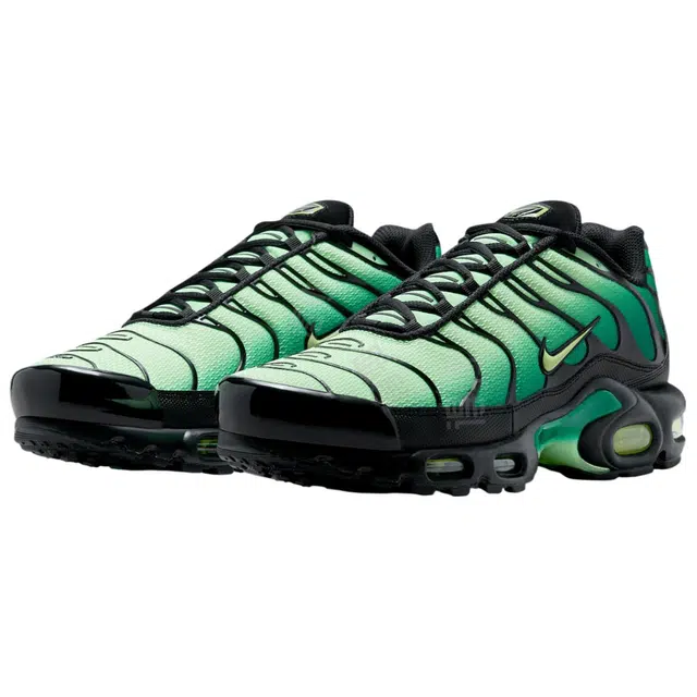 Nike Air Max Plus