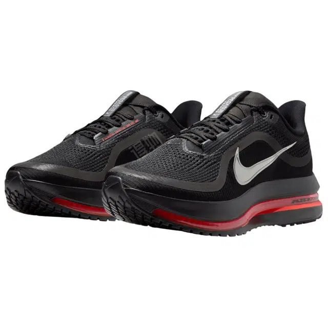 Nike Pegasus Premium