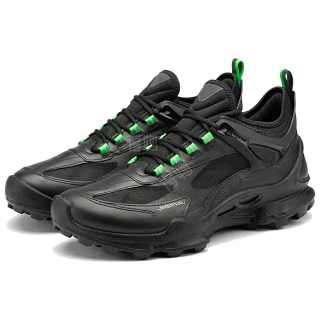ecco Biom C Trail
