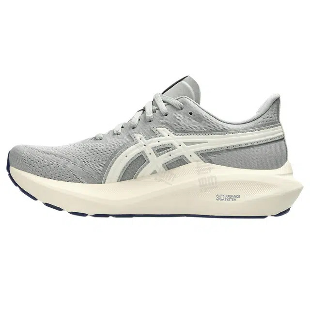 Asics GT-2000 13 ATC
