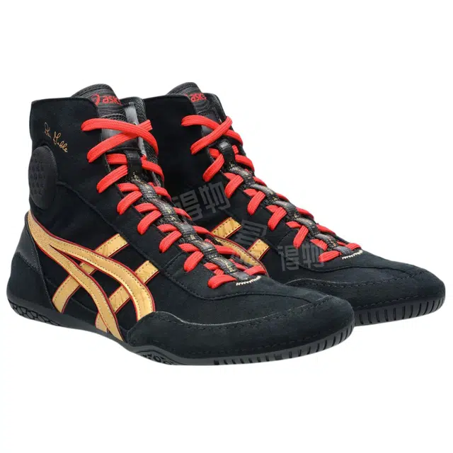 Asics Evo 3