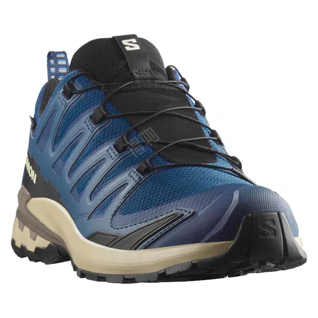 SALOMON XA Pro 3D V9 GORE-TEX