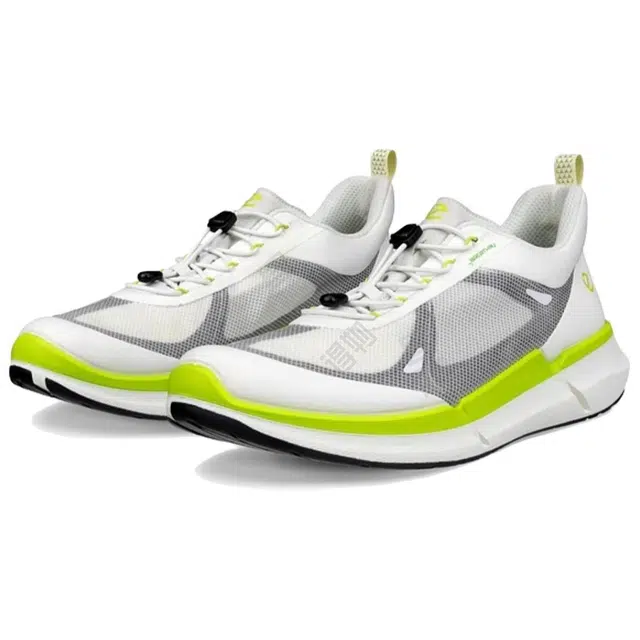 ecco Biom 2.2