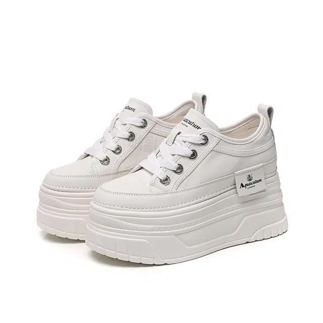 AQUASCUTUM