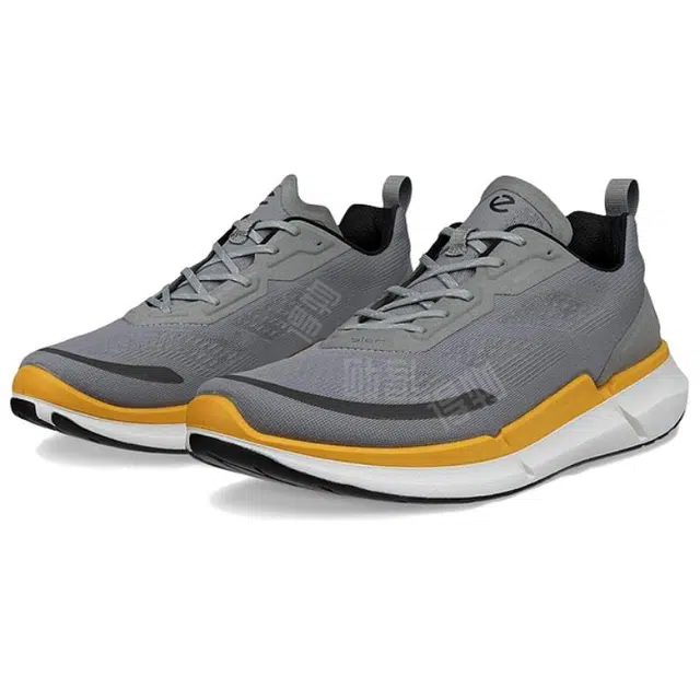 ecco Biom 2.2