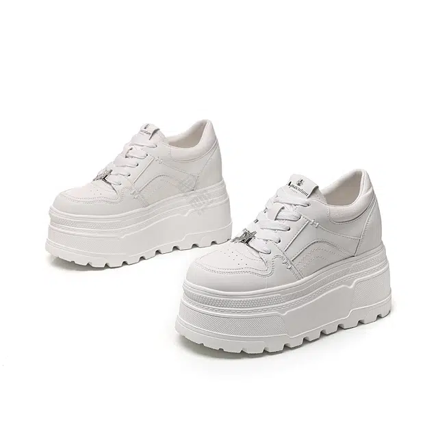 AQUASCUTUM
