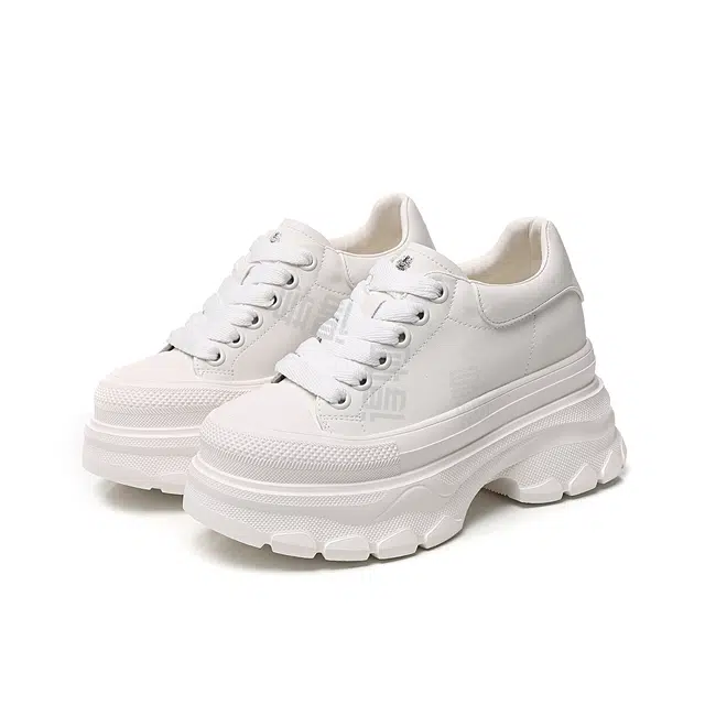 AQUASCUTUM