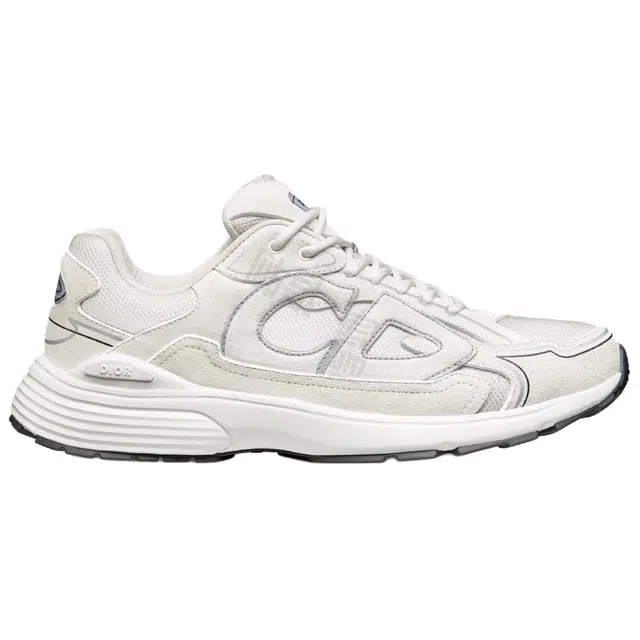 DIOR B30