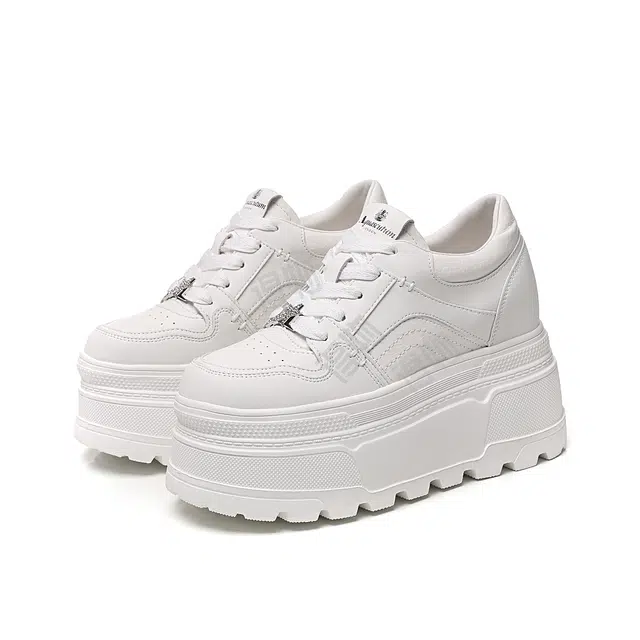 AQUASCUTUM