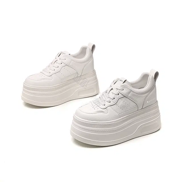 AQUASCUTUM