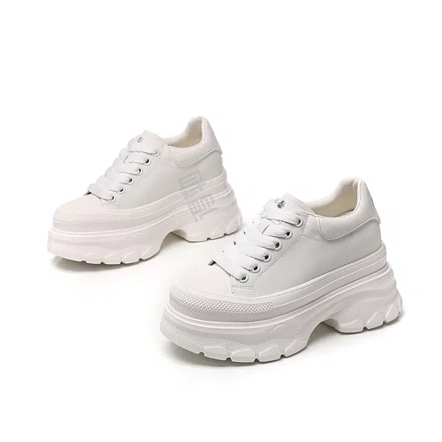 AQUASCUTUM