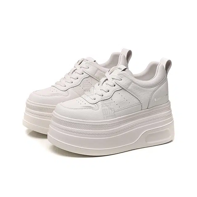 AQUASCUTUM