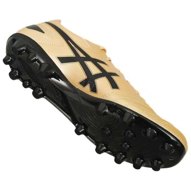 Asics DS LIGHT PRO AG
