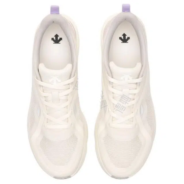 DESCENTE IRIS 2.0