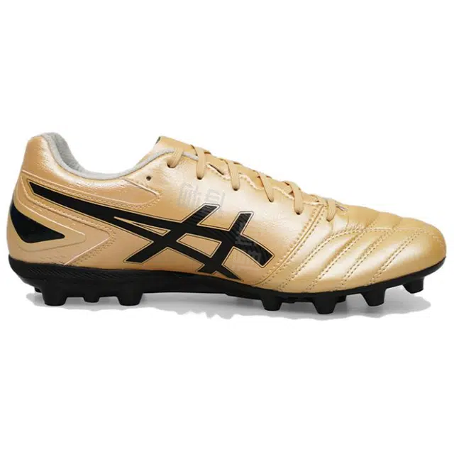 Asics DS LIGHT PRO AG