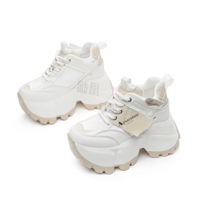 AQUASCUTUM