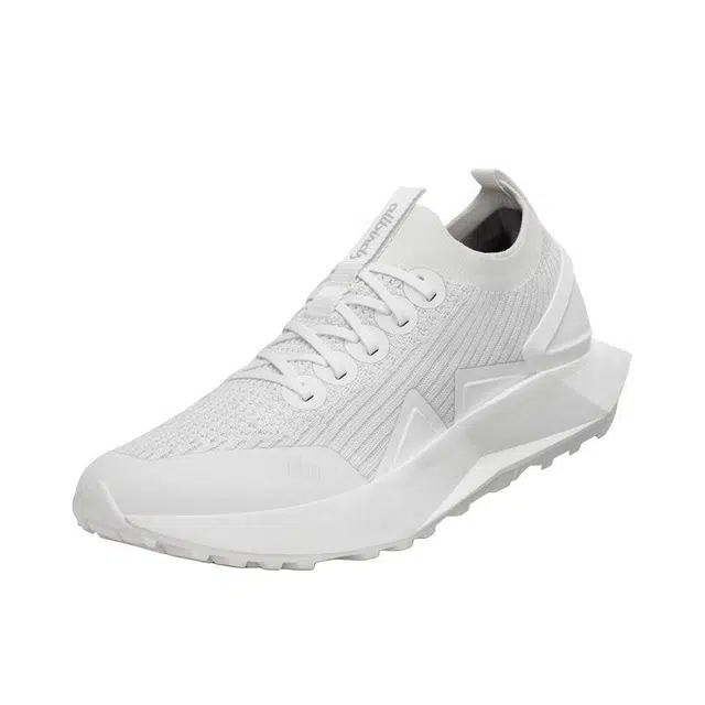 allbirds Tree Flyer 2