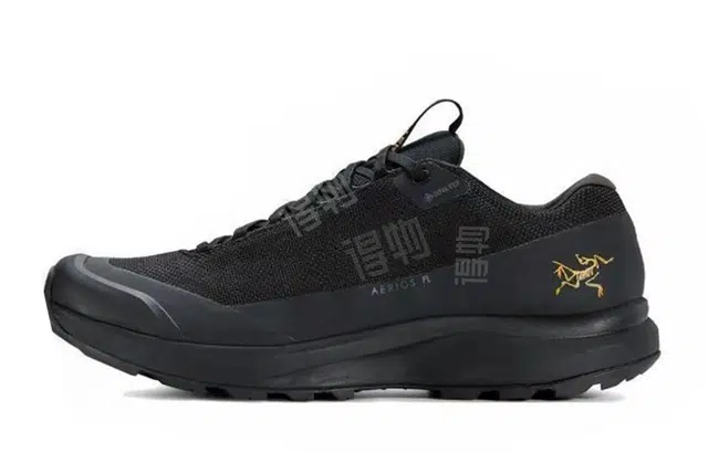 Arcteryx Aerios Fl 2 GTX 811