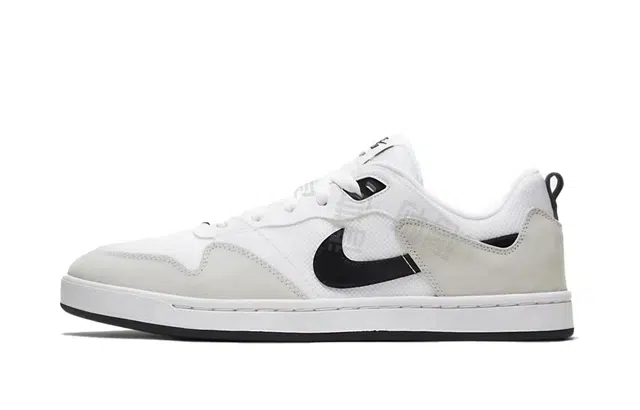 Nike SB Alleyoop