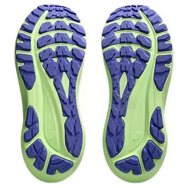 Asics GT-2000 13 TR